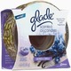 GLADE PLUG IN